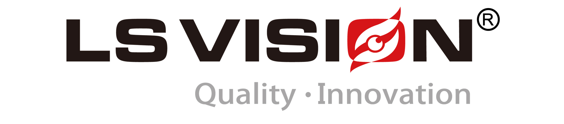 LSvision